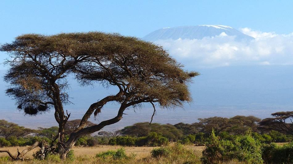 How Long it Takes to Fly to Kenya?