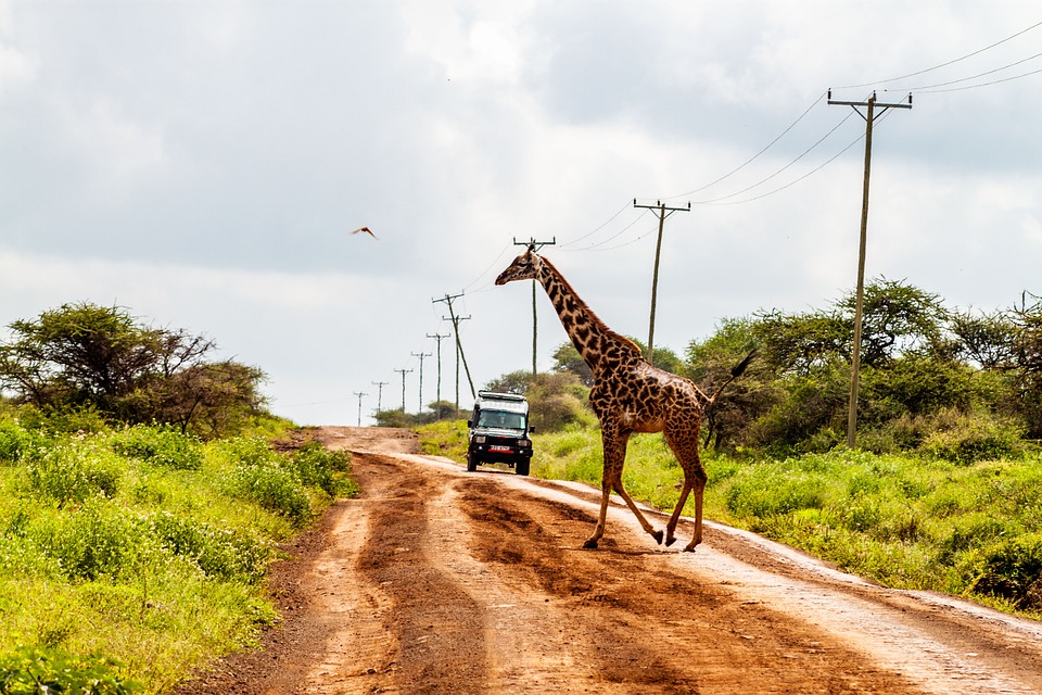 Kenyan Visa for Italian citizens