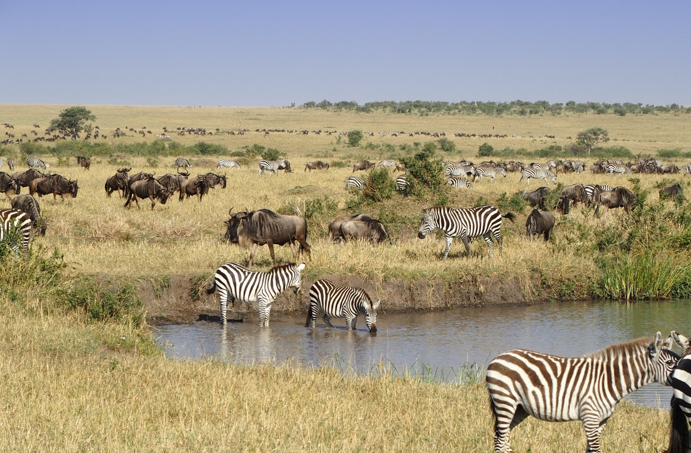 Kenyan Visa for Cambodian citizens