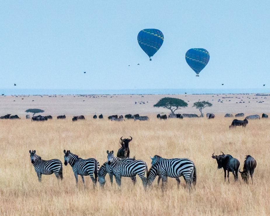 Kenyan Visa for Burkinabe citizens