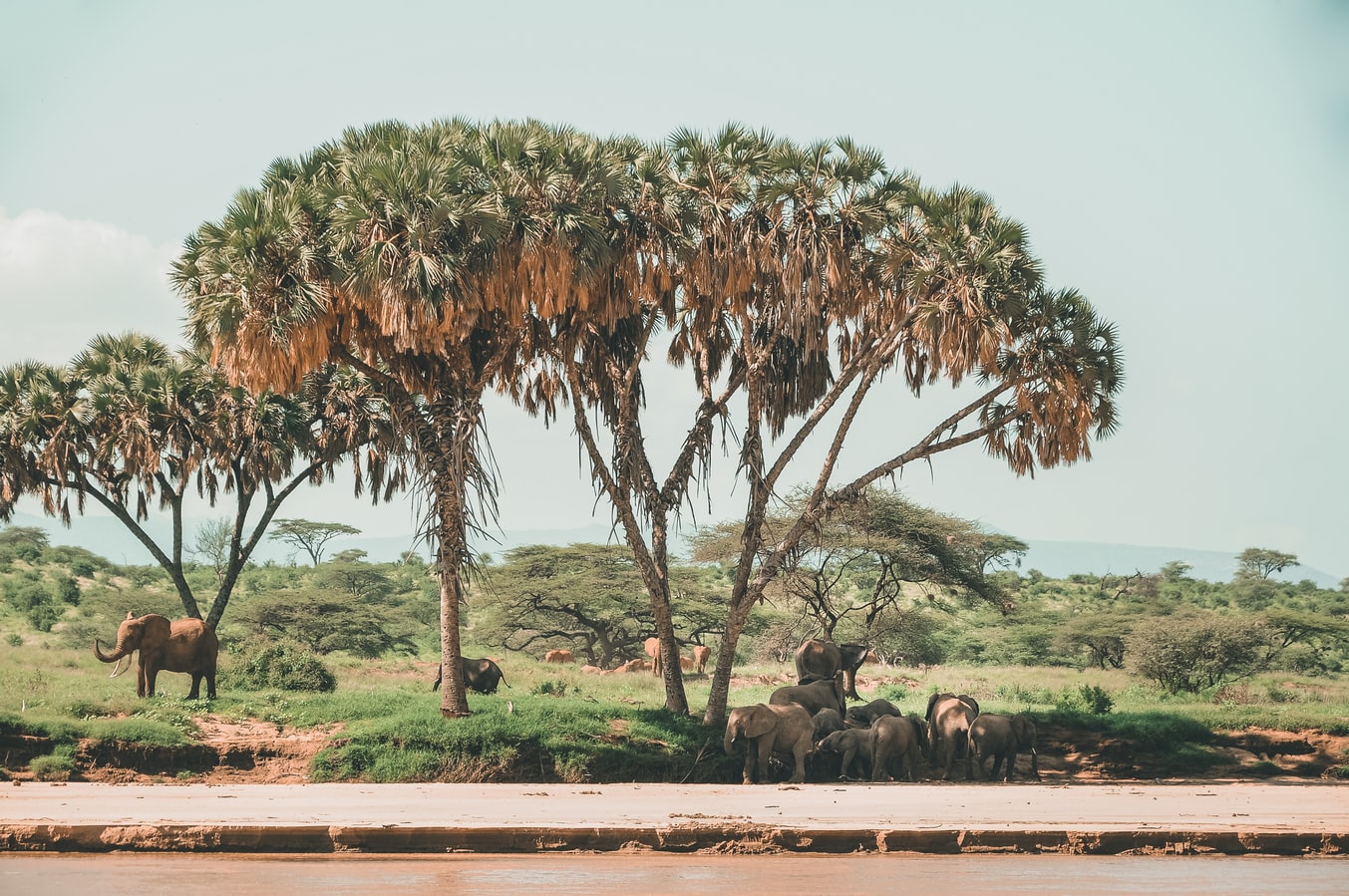 Kenyan Visa For Israeli Citizens E Visa To Kenya Online Blog