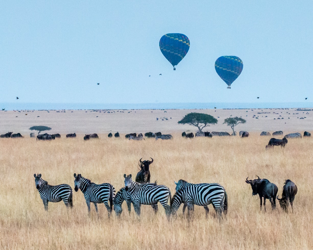 Kenyan Visa for Guyanese citizens